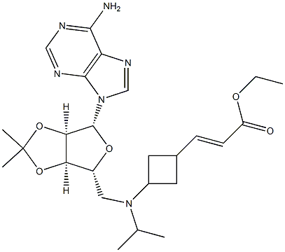 (E)-ethyl 3-(3-((((3aR,4R,6R,6aR)-6-(6-amino-9H-purin-9-yl)-2,2-dimethyltetrahydrofuro[3,4-d][1,3]dioxol-4-yl)methyl)(isopropyl)amino)cyclobutyl)acrylate Struktur