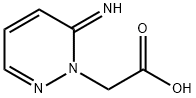 2-(6-iminopyridazin-1(6H)-yl)acetic acid Struktur