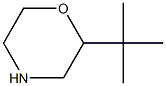 2-tert-butylmorpholine Struktur