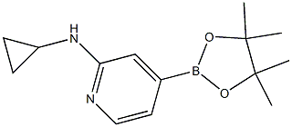 N-cyclopropyl-4-(4,4,5,5-tetramethyl-1,3,2-dioxaborolan-2-yl)pyridin-2-amine Struktur