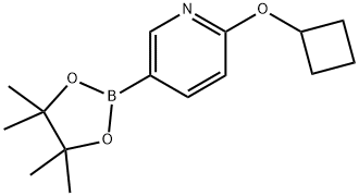 2-(cyclobutyloxy)-5-(4,4,5,5-tetramethyl-1,3,2-dioxaborolan-2-yl)pyridine Struktur