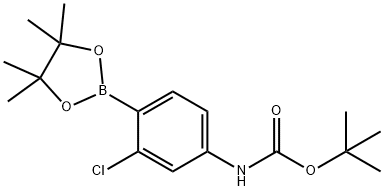 2-Chloro-4-(BOC-amino)phenylboronic acid, pinacol ester Struktur