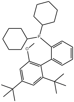 [2',4'-Bis(1,1-dimethylethyl)-6'-methoxy[1,1'-biphenyl]-2-yl]dicyclohexylphosphine Struktur