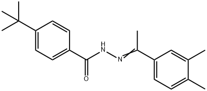 4-tert-butyl-N'-[(1Z)-1-(3,4-dimethylphenyl)ethylidene]benzohydrazide Struktur