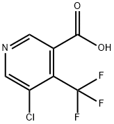 5-CHLORO-4-(TRIFLUOROMETHYL)NICOTINIC ACID Struktur