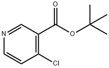 tert-Butyl 4-chloronicotinate Struktur