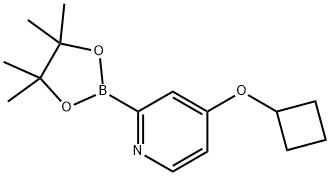 4-cyclobutoxy-2-(4,4,5,5-tetramethyl-1,3,2-dioxaborolan-2-yl)pyridine Struktur