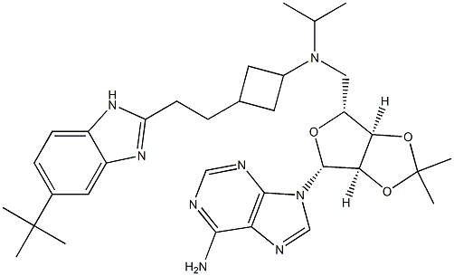 9-((3aR,4R,6R,6aR)-6-(((3-(2-(5-tert-butyl-1H-benzo[d]imidazol-2-yl)ethyl)cyclobutyl)(isopropyl)amino)methyl)-2,2-dimethyltetrahydrofuro[3,4-d][1,3]dioxol-4-yl)-9H-purin-6-amine Struktur