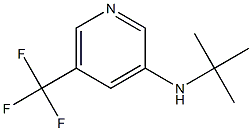 N-tert-butyl-5-(trifluoromethyl)pyridin-3-amine Struktur