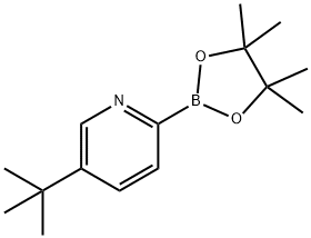 5-(tert-butyl)-2-(4,4,5,5-tetramethyl-1,3,2-dioxaborolan-2-yl)pyridine Struktur