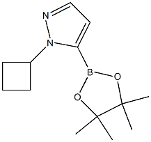 1-cyclobutyl-5-(tetramethyl-1,3,2-dioxaborolan-2-yl)-1H-pyrazole Struktur