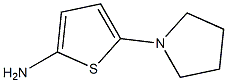 5-(pyrrolidin-1-yl)thiophen-2-amine Struktur