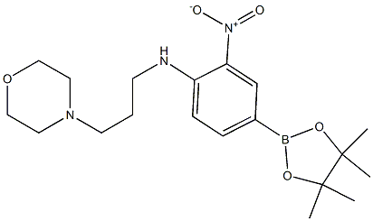 N-(3-morpholinopropyl)-2-nitro-4-(4,4,5,5-tetramethyl-1,3,2-dioxaborolan-2-yl)aniline Struktur