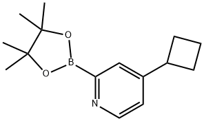 4-cyclobutyl-2-(4,4,5,5-tetramethyl-1,3,2-dioxaborolan-2-yl)pyridine Struktur