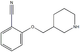  化學(xué)構(gòu)造式