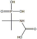 Phosphonic  acid,  (1-carboxyamino-1-methylethyl)-  (5CI) Struktur