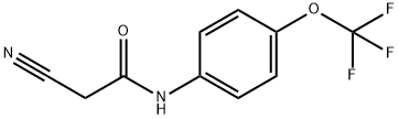 2-cyano-N-[4-(trifluoromethoxy)phenyl]acetamide Struktur