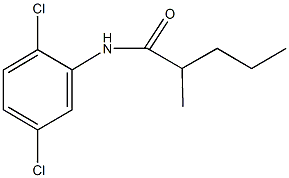 N-(2,5-dichlorophenyl)-2-methylpentanamide Struktur