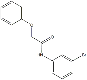 N-(3-bromophenyl)-2-phenoxyacetamide Struktur