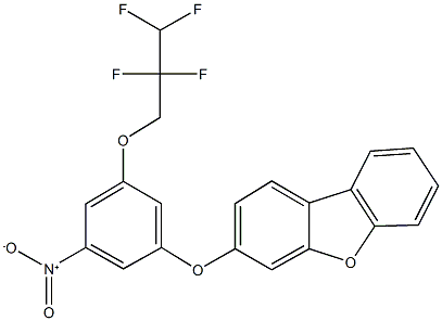 3-[3-nitro-5-(2,2,3,3-tetrafluoropropoxy)phenoxy]dibenzo[b,d]furan Struktur