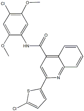 N-(4-chloro-2,5-dimethoxyphenyl)-2-(5-chloro-2-thienyl)-4-quinolinecarboxamide Struktur