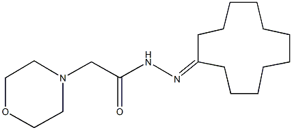 N'-cyclododecylidene-2-(4-morpholinyl)acetohydrazide Struktur