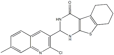 2-(2-chloro-7-methyl-3-quinolinyl)-2,3,5,6,7,8-hexahydro[1]benzothieno[2,3-d]pyrimidin-4(1H)-one Struktur