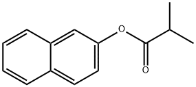 2-naphthyl 2-methylpropanoate Struktur