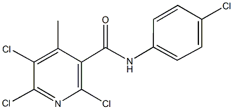 2,5,6-trichloro-N-(4-chlorophenyl)-4-methylnicotinamide Struktur