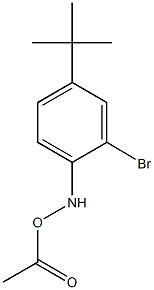 O-acetyl-N-(2-bromo-4-tert-butylphenyl)hydroxylamine Struktur