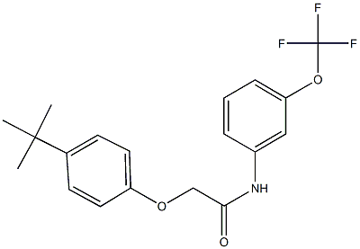 2-(4-tert-butylphenoxy)-N-[3-(trifluoromethoxy)phenyl]acetamide Struktur