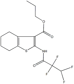 propyl 2-[(2,2,3,3-tetrafluoropropanoyl)amino]-4,5,6,7-tetrahydro-1-benzothiophene-3-carboxylate Struktur