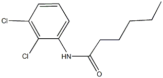 N-(2,3-dichlorophenyl)hexanamide Struktur