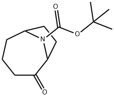 tert-butyl 2-oxo-9-azabicyclo[4.2.1]nonane-9-carboxylate Struktur