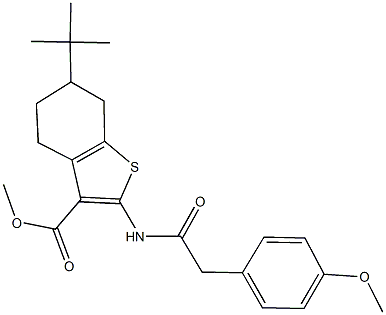 methyl 6-tert-butyl-2-{[(4-methoxyphenyl)acetyl]amino}-4,5,6,7-tetrahydro-1-benzothiophene-3-carboxylate Struktur