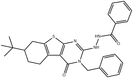 N'-(3-benzyl-7-tert-butyl-4-oxo-3,4,5,6,7,8-hexahydro[1]benzothieno[2,3-d]pyrimidin-2-yl)benzohydrazide Struktur