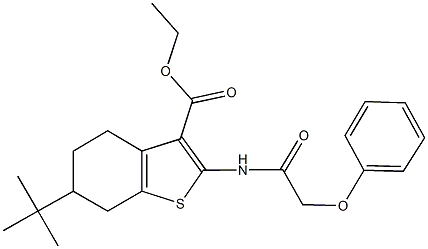 ethyl 6-tert-butyl-2-[(phenoxyacetyl)amino]-4,5,6,7-tetrahydro-1-benzothiophene-3-carboxylate Struktur