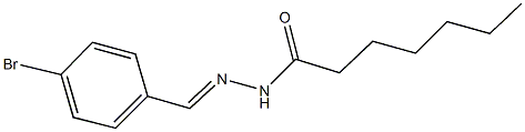 N'-(4-bromobenzylidene)heptanohydrazide Struktur