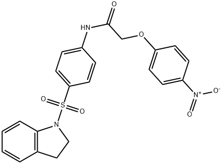 N-[4-(2,3-dihydro-1H-indol-1-ylsulfonyl)phenyl]-2-{4-nitrophenoxy}acetamide Struktur