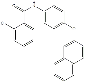 2-chloro-N-[4-(2-naphthyloxy)phenyl]benzamide Struktur