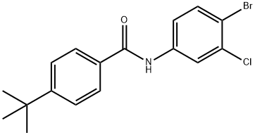 N-(4-bromo-3-chlorophenyl)-4-tert-butylbenzamide Struktur