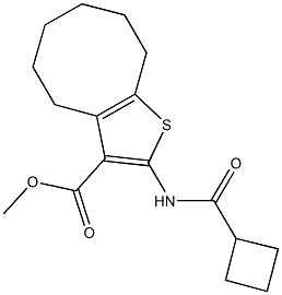 methyl 2-[(cyclobutylcarbonyl)amino]-4,5,6,7,8,9-hexahydrocycloocta[b]thiophene-3-carboxylate Struktur