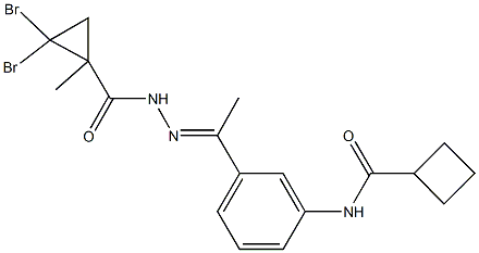 N-(3-{N-[(2,2-dibromo-1-methylcyclopropyl)carbonyl]ethanehydrazonoyl}phenyl)cyclobutanecarboxamide Struktur