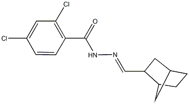 N'-(bicyclo[2.2.1]hept-2-ylmethylene)-2,4-dichlorobenzohydrazide Struktur