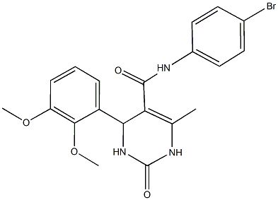 N-(4-bromophenyl)-4-(2,3-dimethoxyphenyl)-6-methyl-2-oxo-1,2,3,4-tetrahydropyrimidine-5-carboxamide Struktur