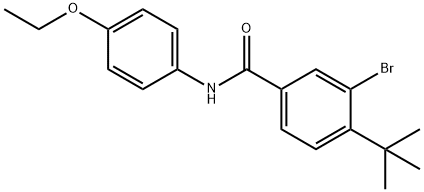 3-bromo-4-tert-butyl-N-(4-ethoxyphenyl)benzamide Struktur