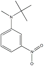 N-(tert-butyl)-N-methyl-3-nitroaniline Struktur