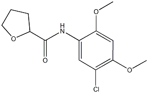 N-(5-chloro-2,4-dimethoxyphenyl)tetrahydrofuran-2-carboxamide Struktur