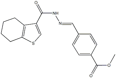 methyl 4-[2-(4,5,6,7-tetrahydro-1-benzothien-3-ylcarbonyl)carbohydrazonoyl]benzoate Struktur