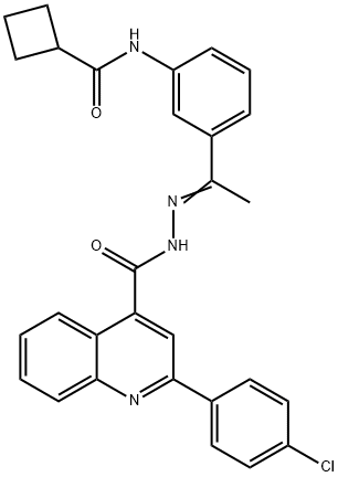 N-[3-(N-{[2-(4-chlorophenyl)-4-quinolinyl]carbonyl}ethanehydrazonoyl)phenyl]cyclobutanecarboxamide Struktur